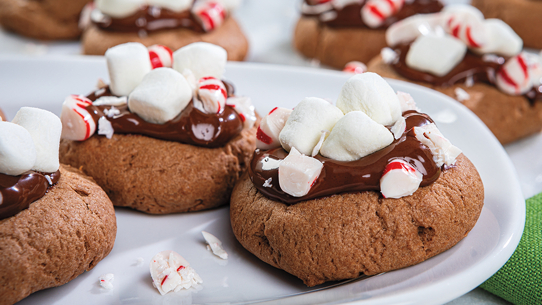 Hot Chocolate Cookies
