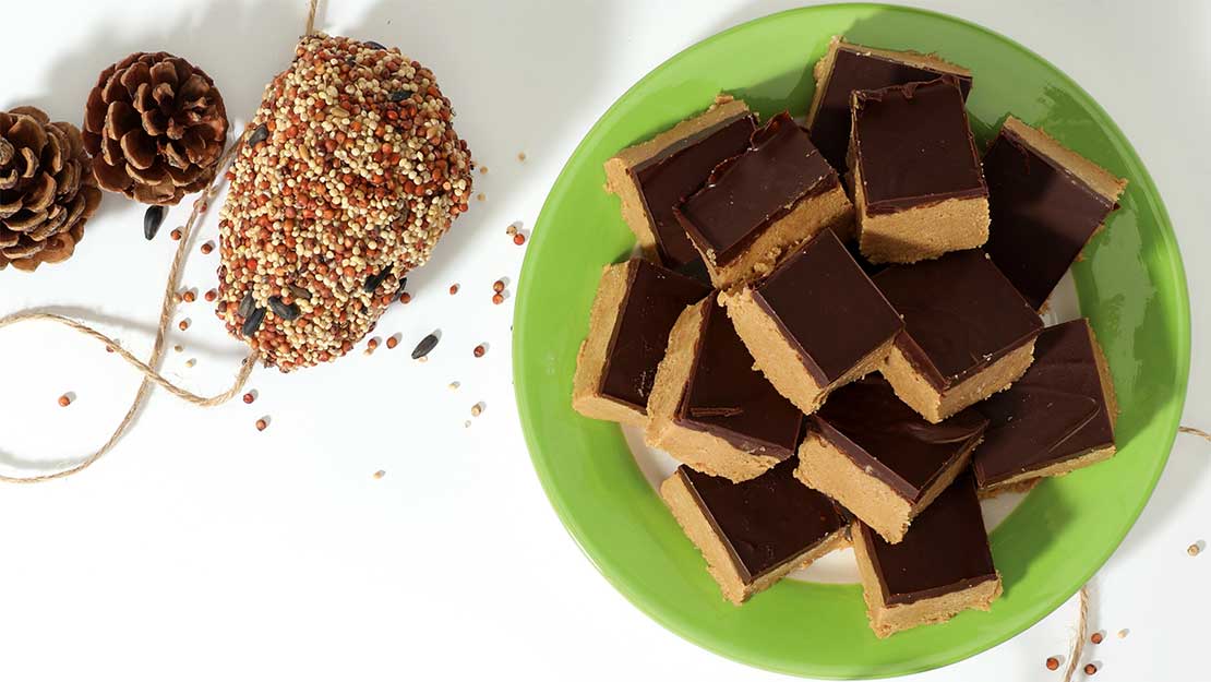 No-Bake Peanut Butter Bars