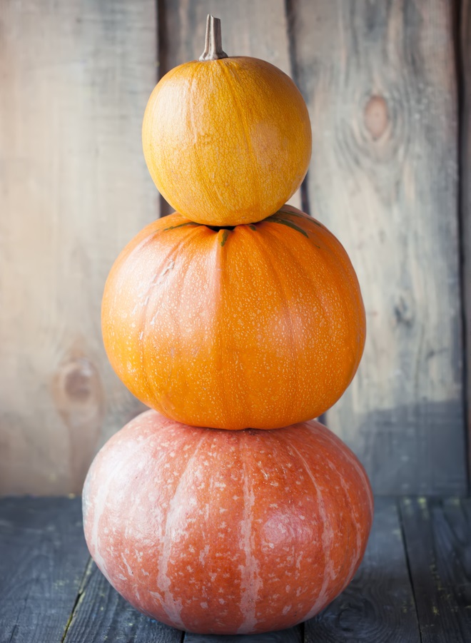 Pumpkin Stack