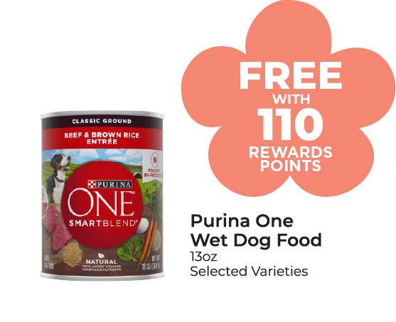 Purina One Wet Dog Food 13 oz, Selected Varieties