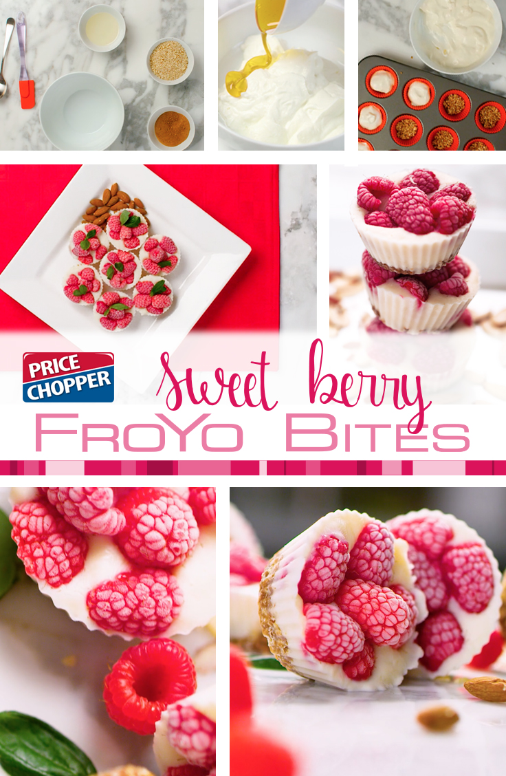 Berry FroYo Bites