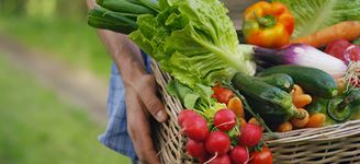 Fresh & Flavorful Ways to Eat More Veggies