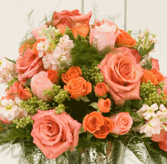 Market 32 Flowers Plattsburgh Ny Best Flower Site