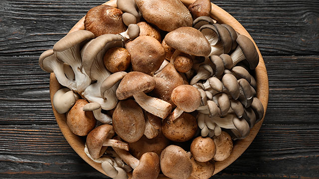 Mastering Mushrooms